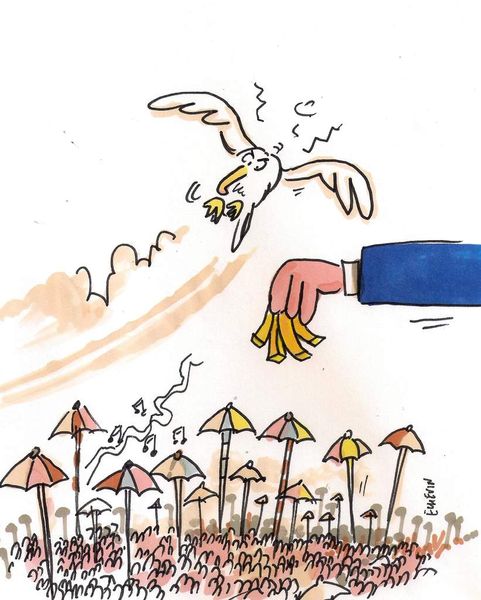 "Vergriete des frites !" mais surtout des harengs !