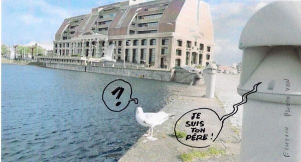 la coup de bec de Kathy...