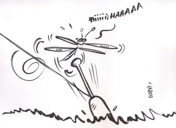 le rodéo de la libellule...