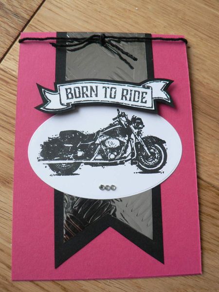 one wild ride de stampin'up version fille