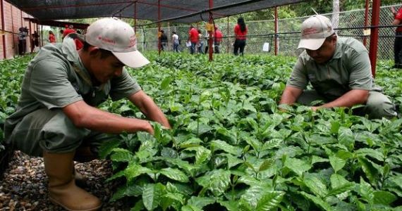 El sueño de la agroecología nacional