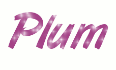 Plum et Blanche tamden de choc