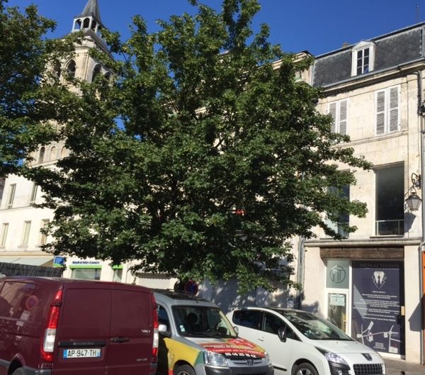 Place d'Armes "chronique d'une mort annoncée"