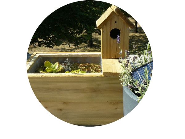 Faire un bassin aquatique dans une caisse en bois.