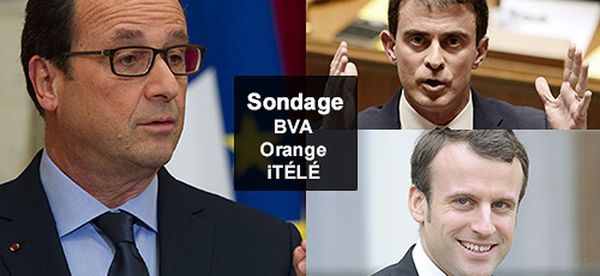 A gauche, difficile de rassembler derrière un leader unique !
