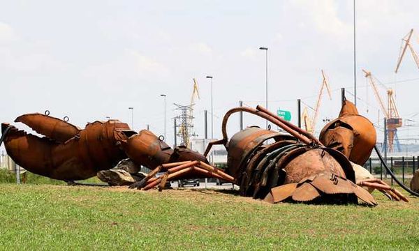 BREST 2016: Un homard qui fait bisquer