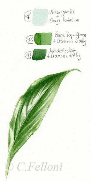 Les Verts de Phtalocyanine