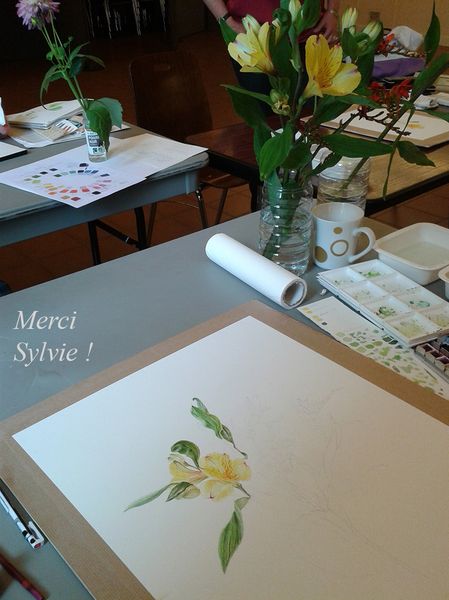 Le lis des Incas de Sylvie