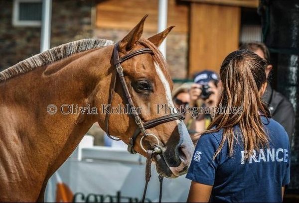 Horse ball passion : Perrine Court