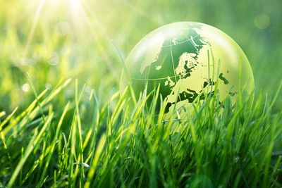 Le gazon naturel: poumon vert de notre planète