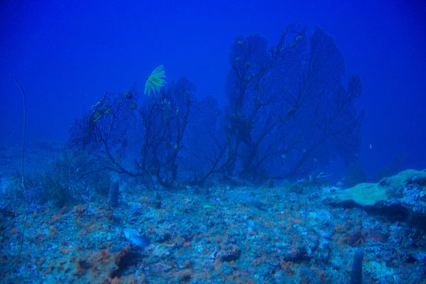 Sous l'eau à moins 60 mètres !