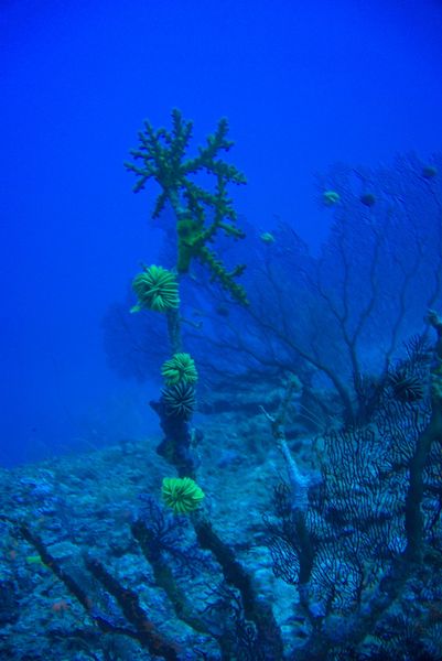 Sous l'eau à moins 60 mètres !