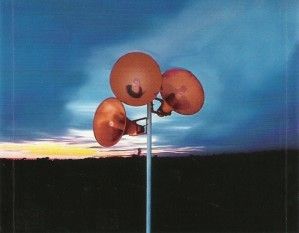 La folie mégaphone