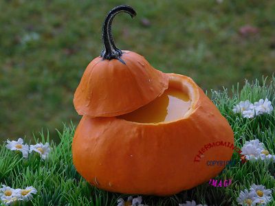 SOUPE PATISSON CAROTTES POMME DE TERRE (thermomix)