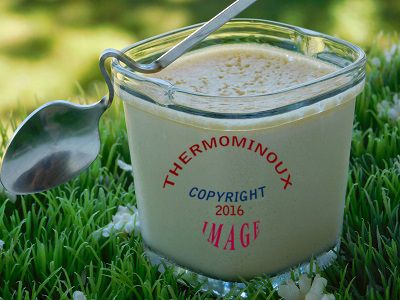 YAOURT AU CARAMEL AU BEURRE SALE A LA MULTIDELICE (thermomix)