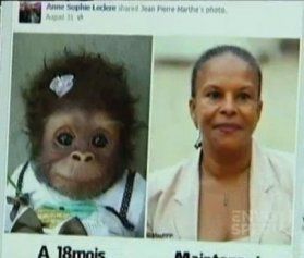 La clef de l’anatomie du singe, c’est l’anatomie de l’homme, disait Marx / Par François de Negroni