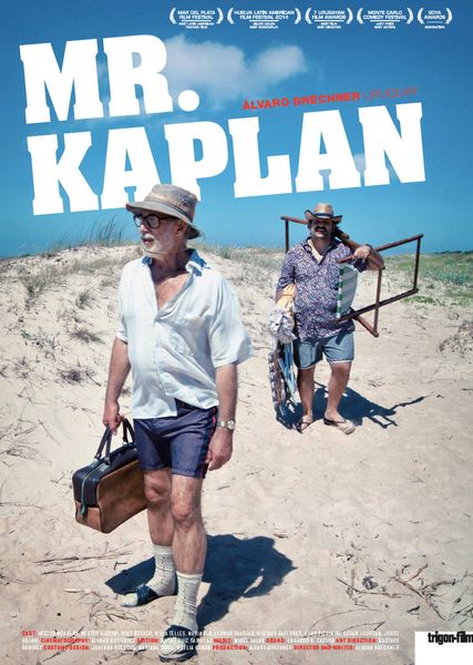 Mr Kaplan