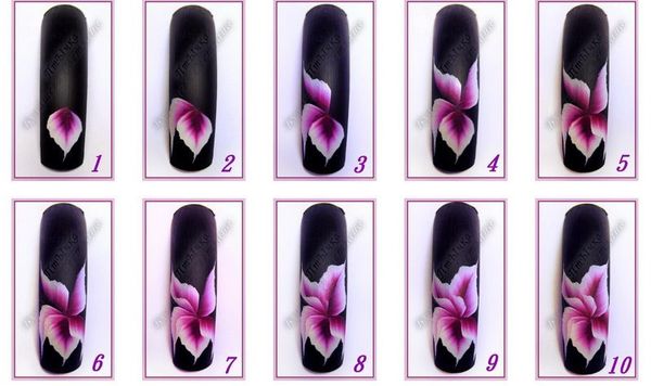 Tutoriel fleur one stroke pas à pas