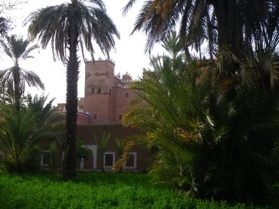 Premier plan : le jardin dans la palmeraie avec les cultures étagées, 2e plan : le riad où vous pouvez dormir confortablement, arrière plan : la casbah