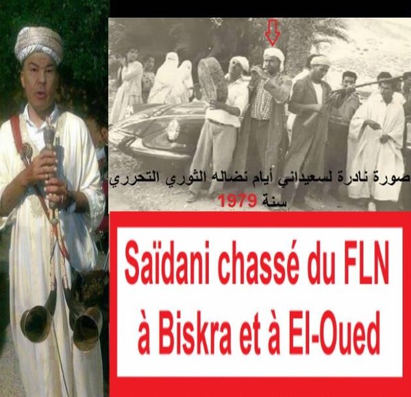 Amar Saïdani, FLN, (04), Magouilles au parti FLN ...