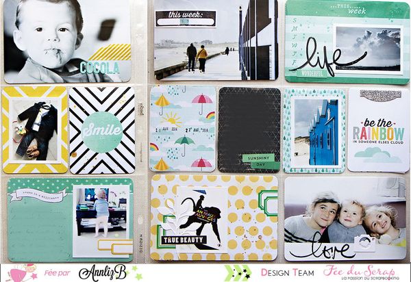 Annliz : Project life