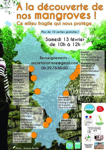 La mangrove
