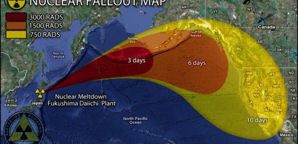 E Fukushima? Il reattore 4 sta sprofondando...auguri