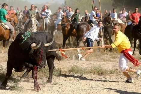 Signez une petition contre les toros de la vega
