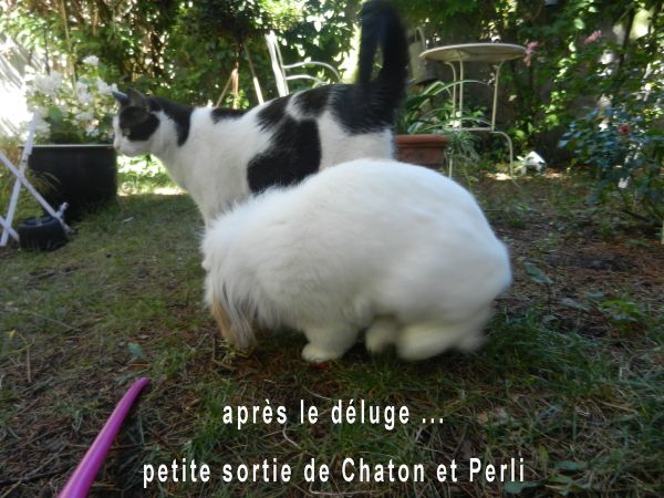histoire à suivre