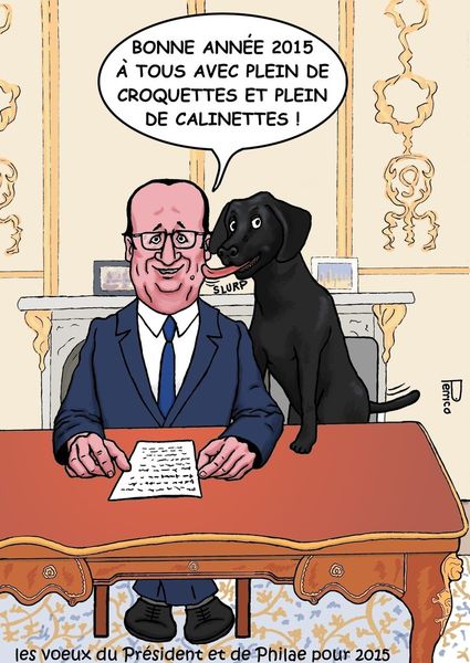 voeux / François Hollande