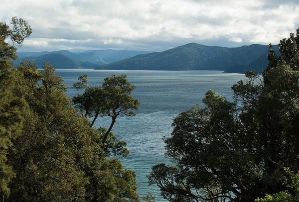 Lake Waikaremoana in New ZealandSource wikimedia-by-paul-nelham
