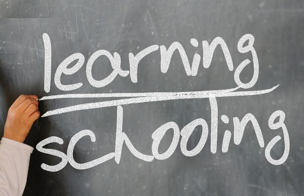 Unschooling_Let Nature Be Your School
