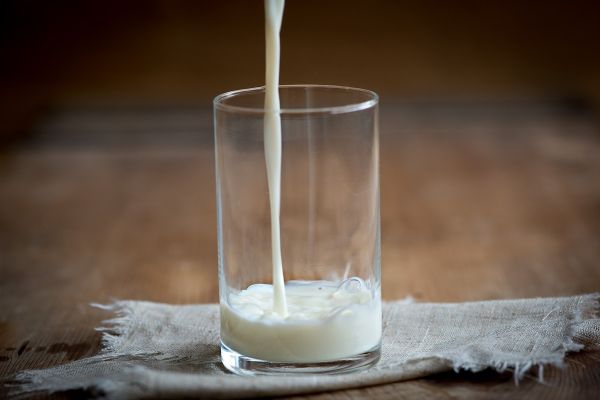 London's legal high – 100% organic hemp milk is now being served