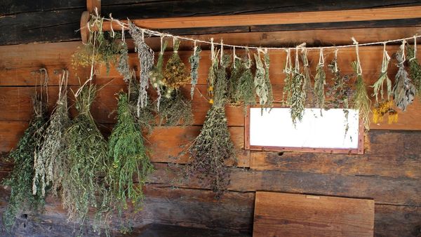 Good and bad news in the war on compounded natural medicine
