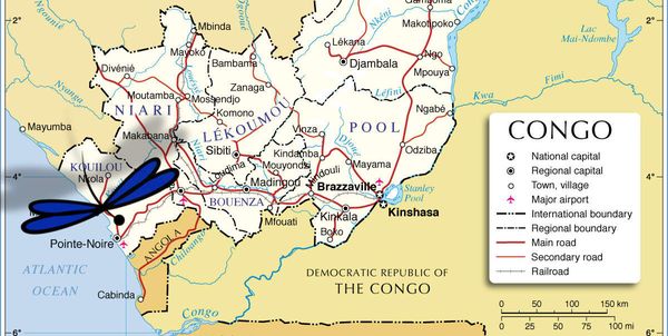 Congo Brazza Pointe Noire