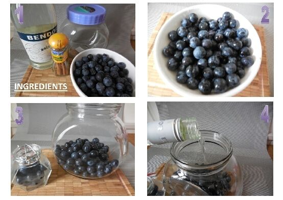 Patxaran (Liqueur de prunelles sauvages)