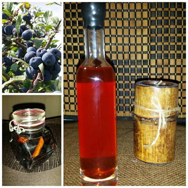 Patxaran (Liqueur de prunelles sauvages)