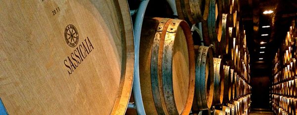 5 vins au top