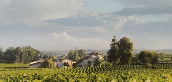 Château Grand-Pontet - Saint-Emilion - Grand Cru