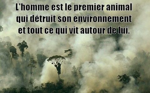 En finir avec la chasse en France : le nombre de chasseurs s'effondre, et c'est tant mieux