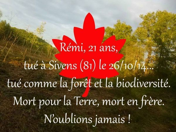 Un an après la mort de Rémi Fraisse, les conclusions accablantes de la Commission d’enquête citoyenne