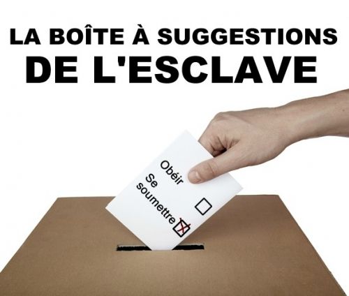★ Les anarchistes et les élections : histoire, théories et pratiques