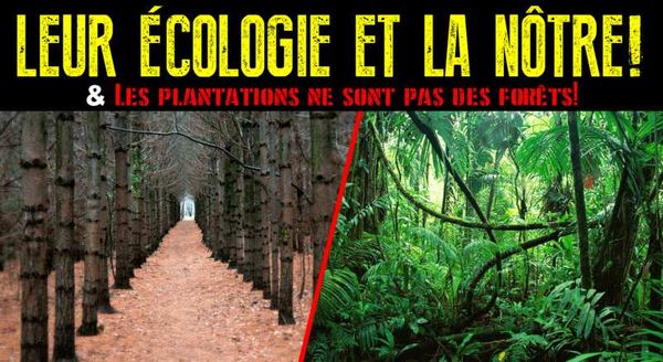 Leur écologie et la nôtre