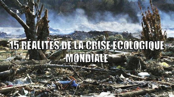 ★ 15 réalités de la crise écologique mondiale