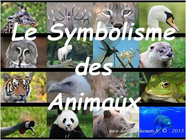 Le Symbolisme des Animaux