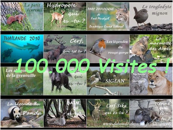 100 000 visites !
