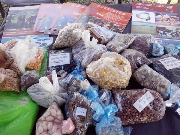 INTERCAMBIO: Este tipo de actividades permite mantener la diversidad de variedades y garantizar la soberanía alimentaria de los pueblos.