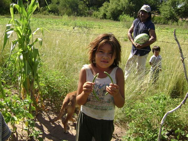 Villa Río Bermejito: familias agricultoras, actores del programa Pro-Huerta en el Chaco.