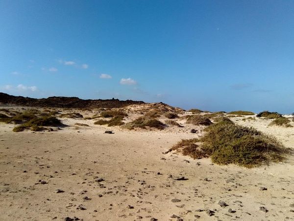 Fuerteventura : secteur nord ouest et El Cotillo