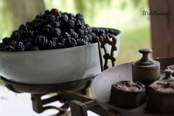 Barquette à la confiture de mûre maison